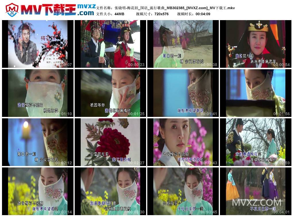 张晓明-梅花泪_国语_流行歌曲_MB302385